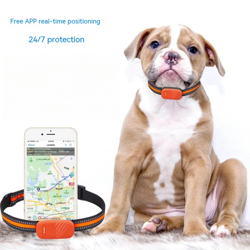 Localizzatore GPS per Cani e Gatti Impermeabile - Tracker Antismarrimento con Controllo da App Efficiente